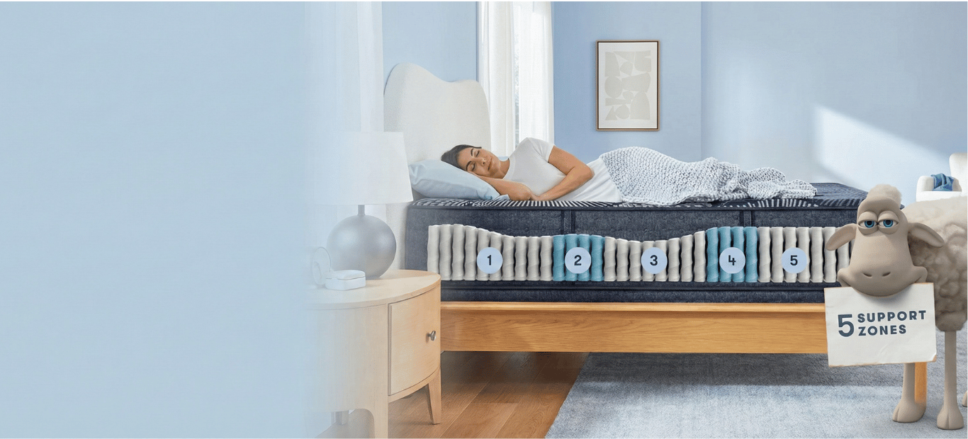 Serta 5 Zonas Tecnología